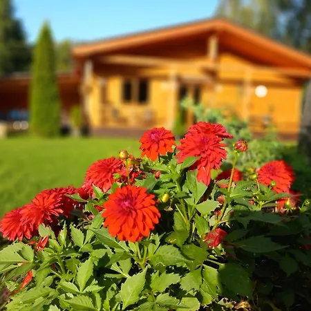 Hébergement de vacances Forest Edge Riga